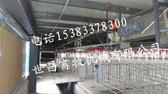 豬場自動化料線系統(tǒng) 現(xiàn)代養(yǎng)豬設(shè)備的核心設(shè)計與實踐